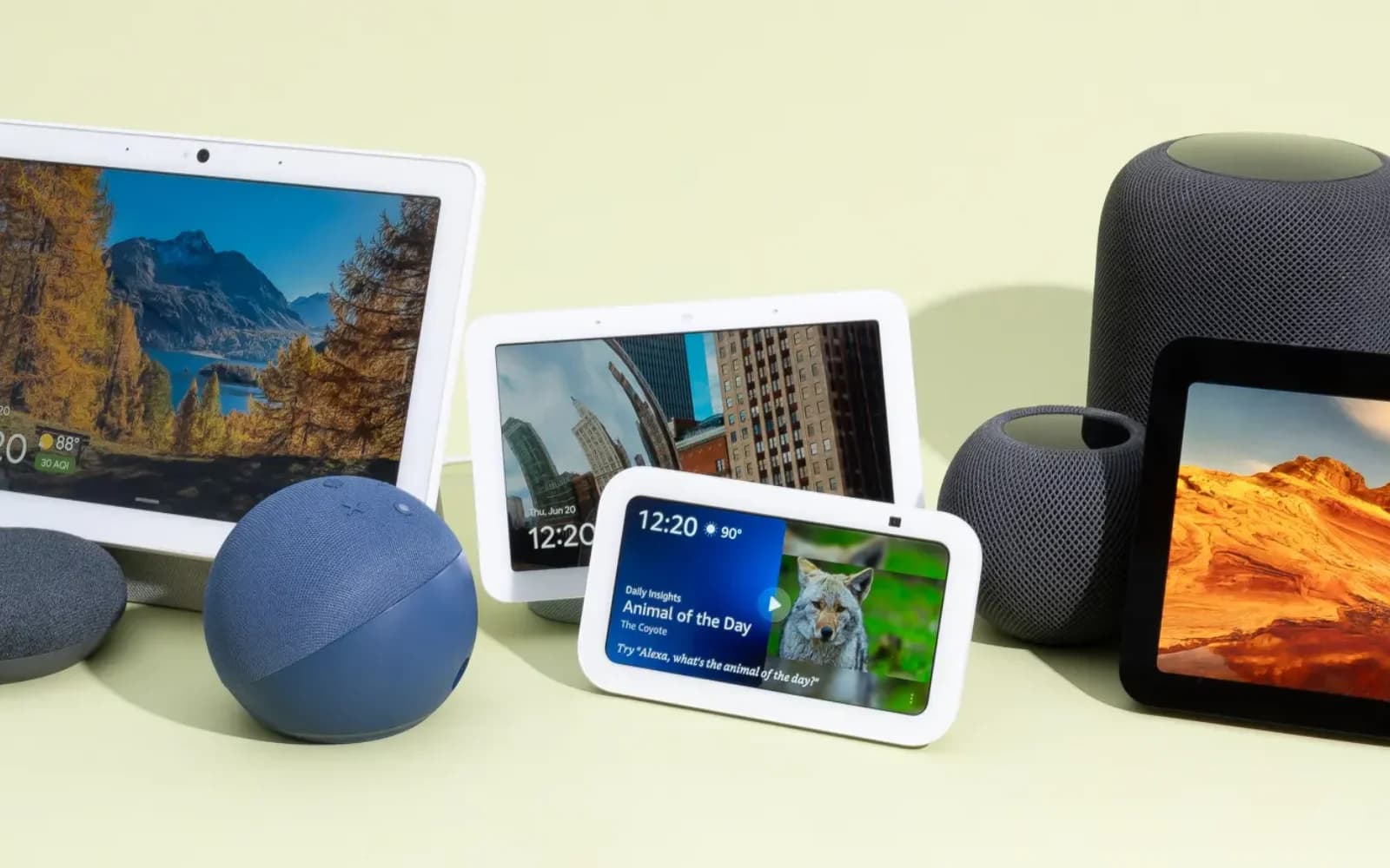 Smart home and device setup